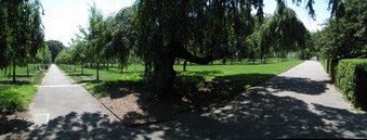 Enlarge photo 24