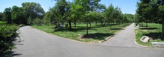 Enlarge photo 25