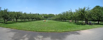 Enlarge photo 26