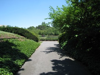 Enlarge photo 28
