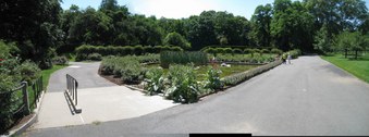 Enlarge photo 31