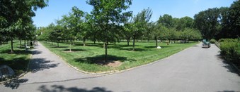 Enlarge photo 32