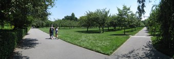 Enlarge photo 33