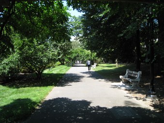 Enlarge photo 39
