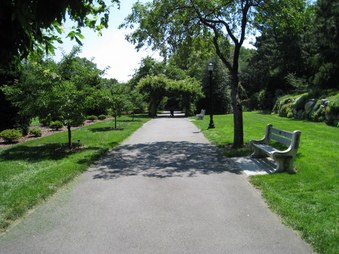 Enlarge photo 42