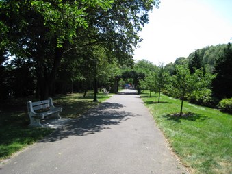 Enlarge photo 46
