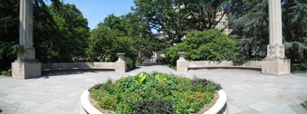Enlarge photo 47