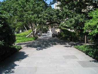 Enlarge photo 49