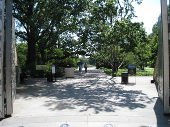 Enlarge photo 50