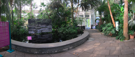 Enlarge photo 61