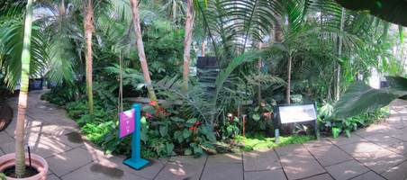 Enlarge photo 63