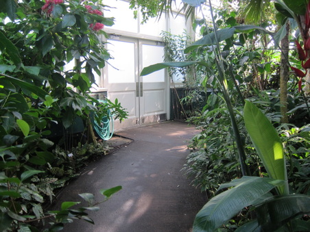Enlarge photo 95