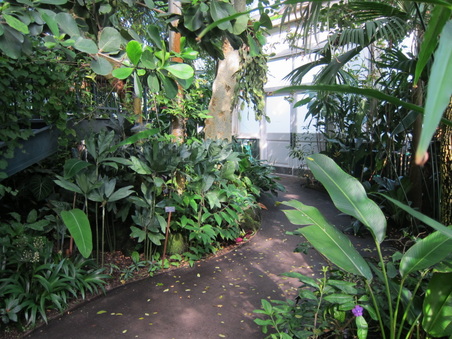 Enlarge photo 96