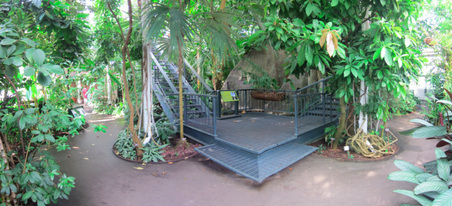 Enlarge photo 97