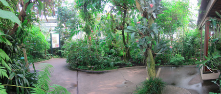 Enlarge photo 102