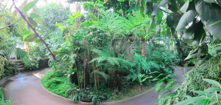 Enlarge photo 103