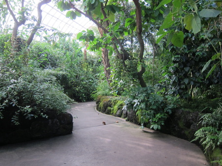 Enlarge photo 108