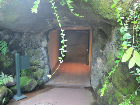 Enlarge photo 110