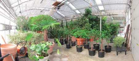 Enlarge photo 123