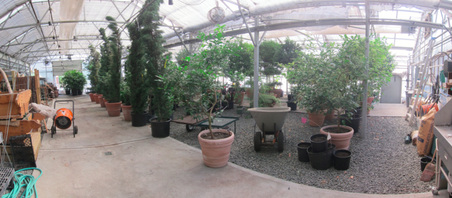 Enlarge photo 124