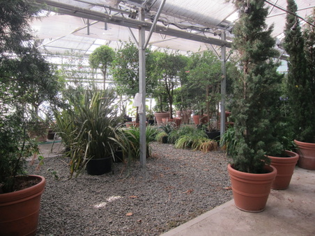 Enlarge photo 126