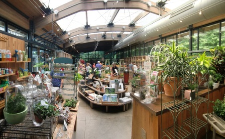 Enlarge photo 43