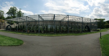 Enlarge photo 2