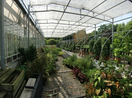 Enlarge photo 5