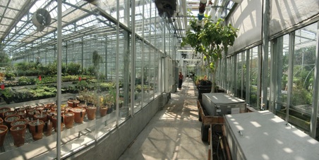 Enlarge photo 15