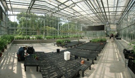 Enlarge photo 7