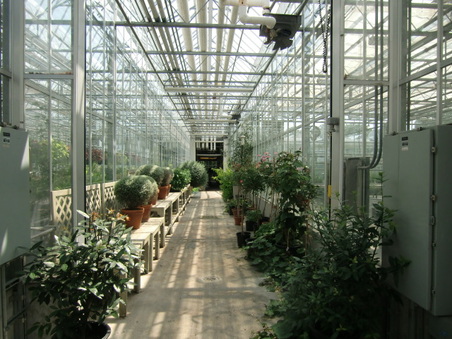 Enlarge photo 10