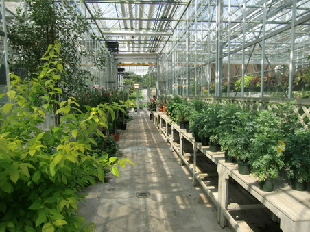 Enlarge photo 9