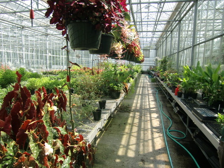 Enlarge photo 23
