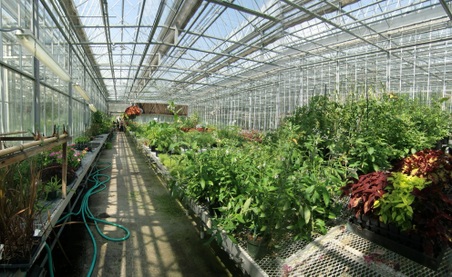 Enlarge photo 22