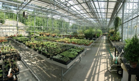 Enlarge photo 17
