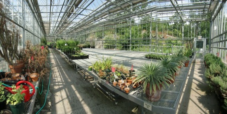Enlarge photo 16