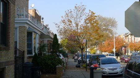 BAYRIDGE 