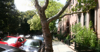 Enlarge photo 19