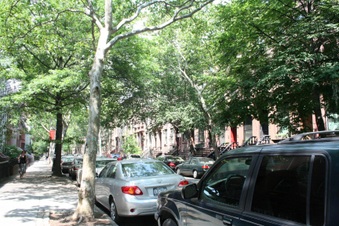 Enlarge photo 12