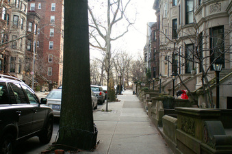 Enlarge photo 7