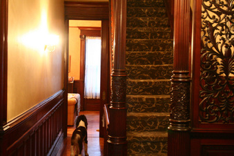 Enlarge photo 33