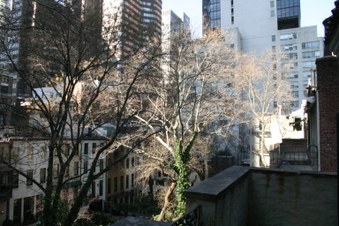 Enlarge photo 64