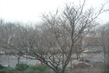 Enlarge photo 32