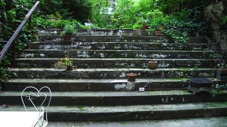 Enlarge photo 35
