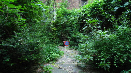 Enlarge photo 37