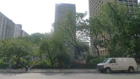 Enlarge photo 2