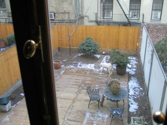 Enlarge photo 13