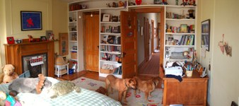 Enlarge photo 17