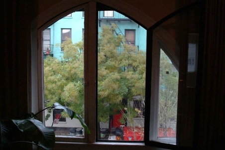 Enlarge photo 30