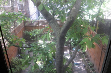 Enlarge photo 22
